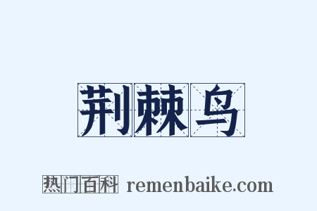 荆棘鸟是什么意思的图片